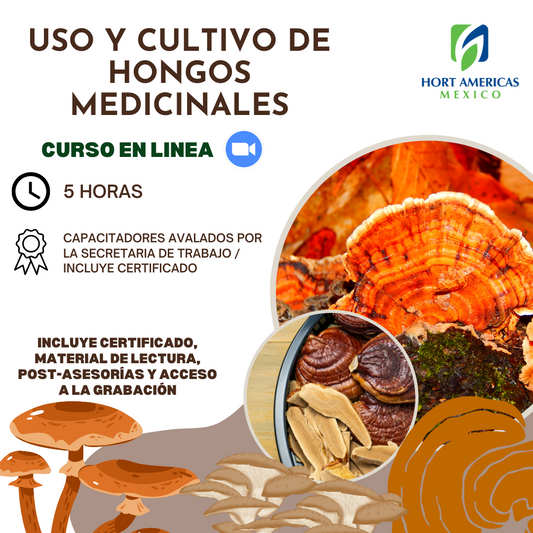 Curso Uso y Cultivo de Hongos Medicinales