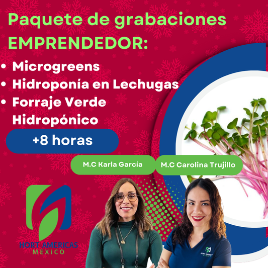 Paquete de grabaciones: Emprendimiento