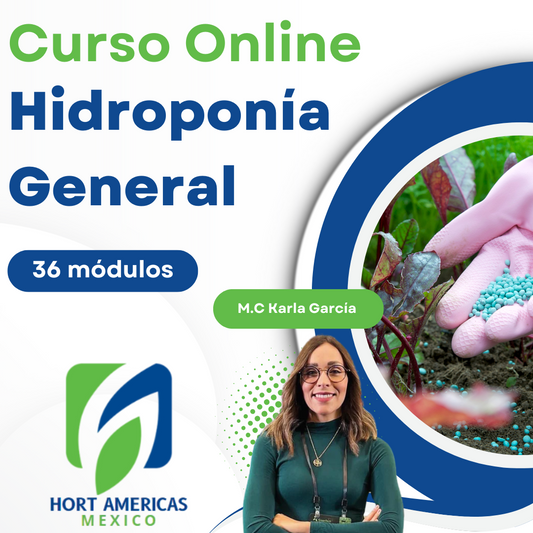 Curso Hidroponia General