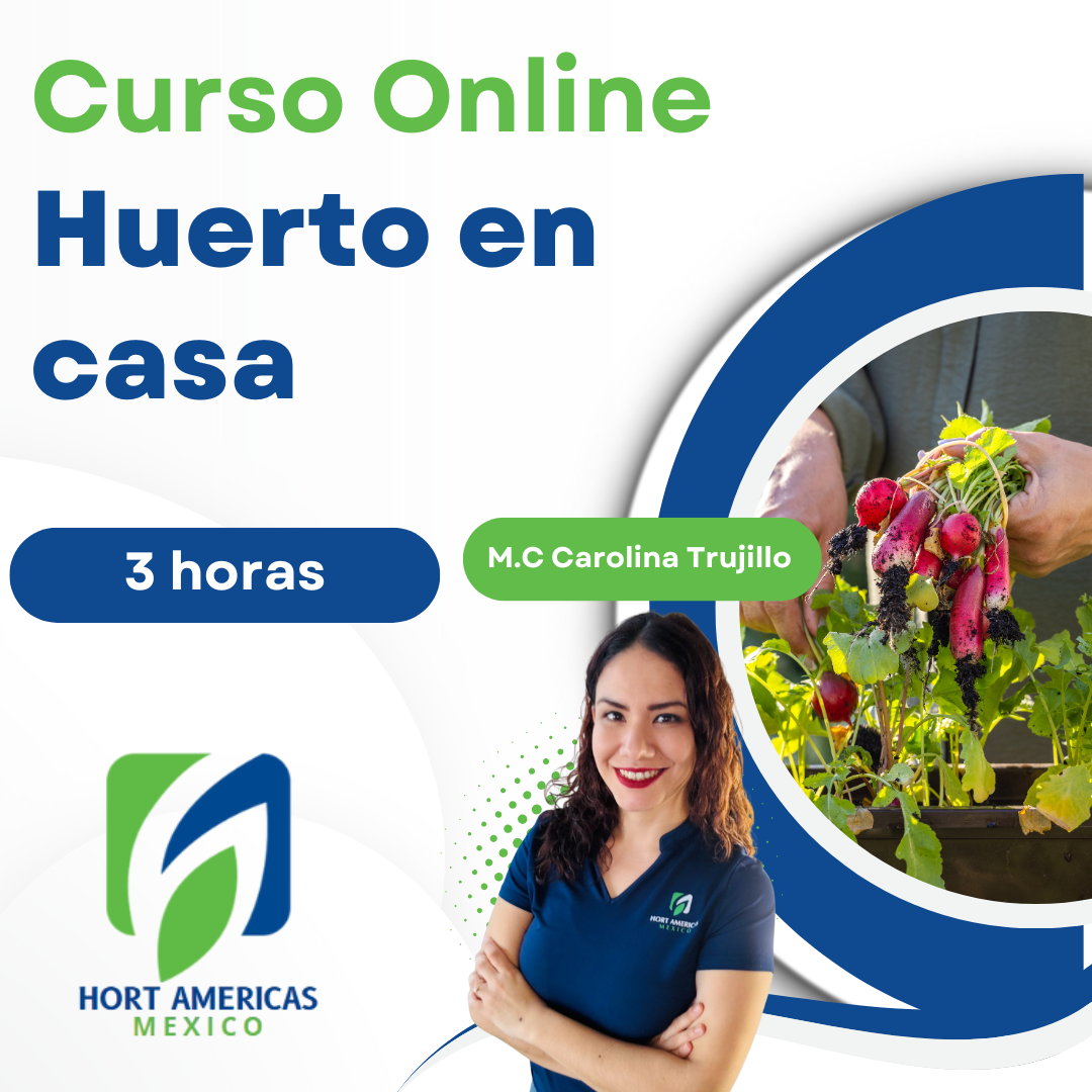 Curso de Huerto en casa