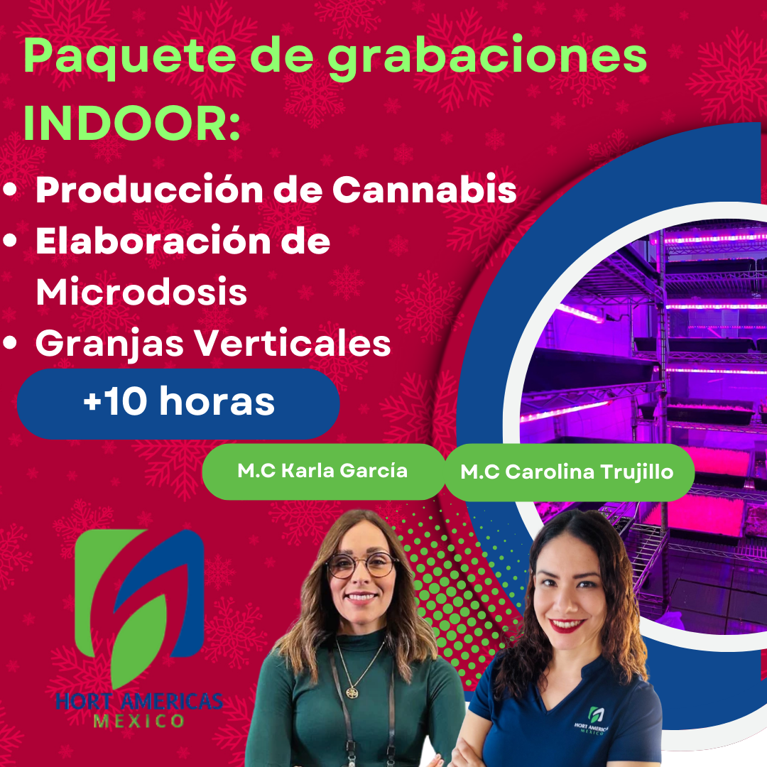 Paquete de grabaciones: Indoor