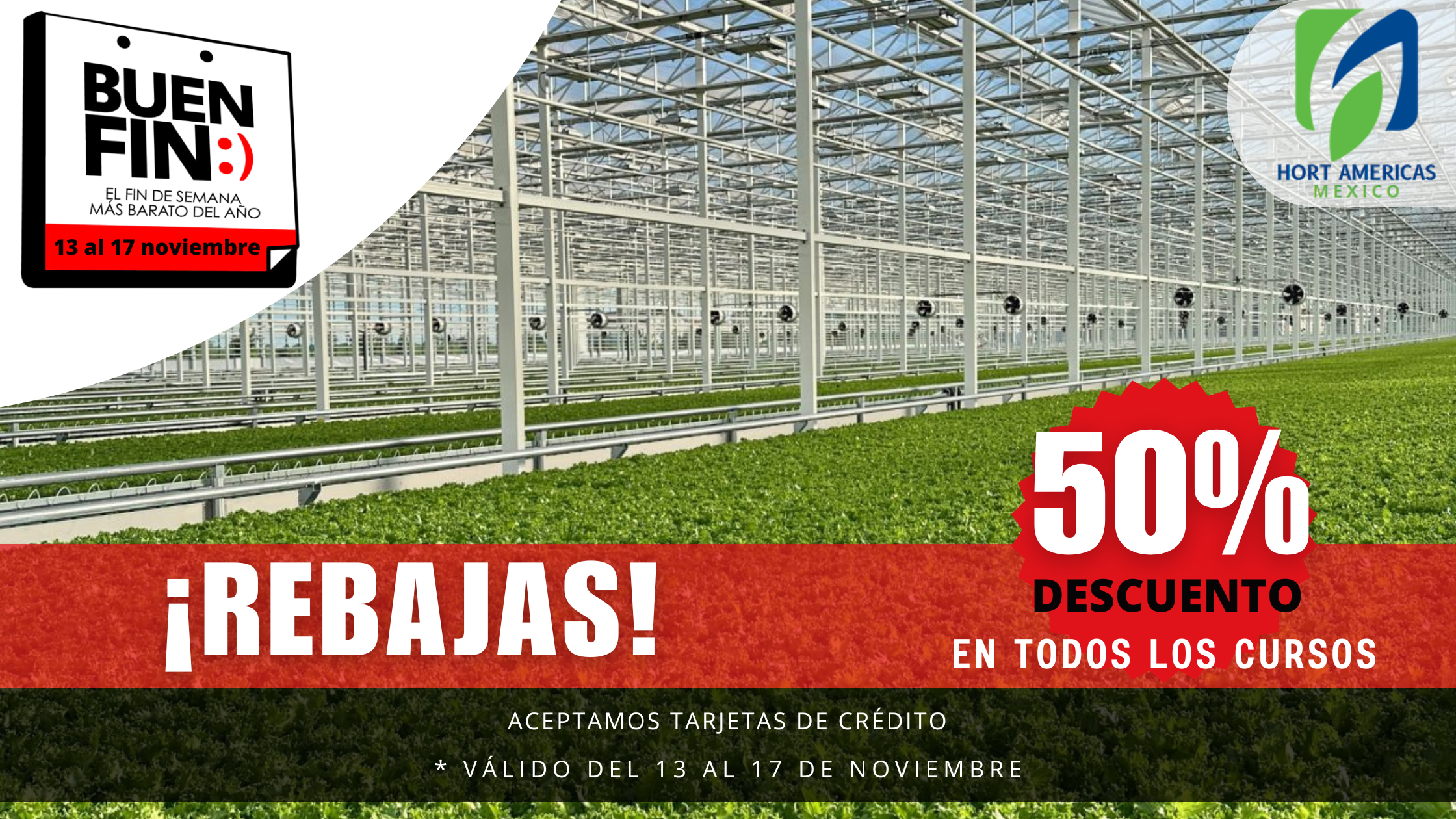 Buen fín cursos en hidroponía, invernaderos, hongos