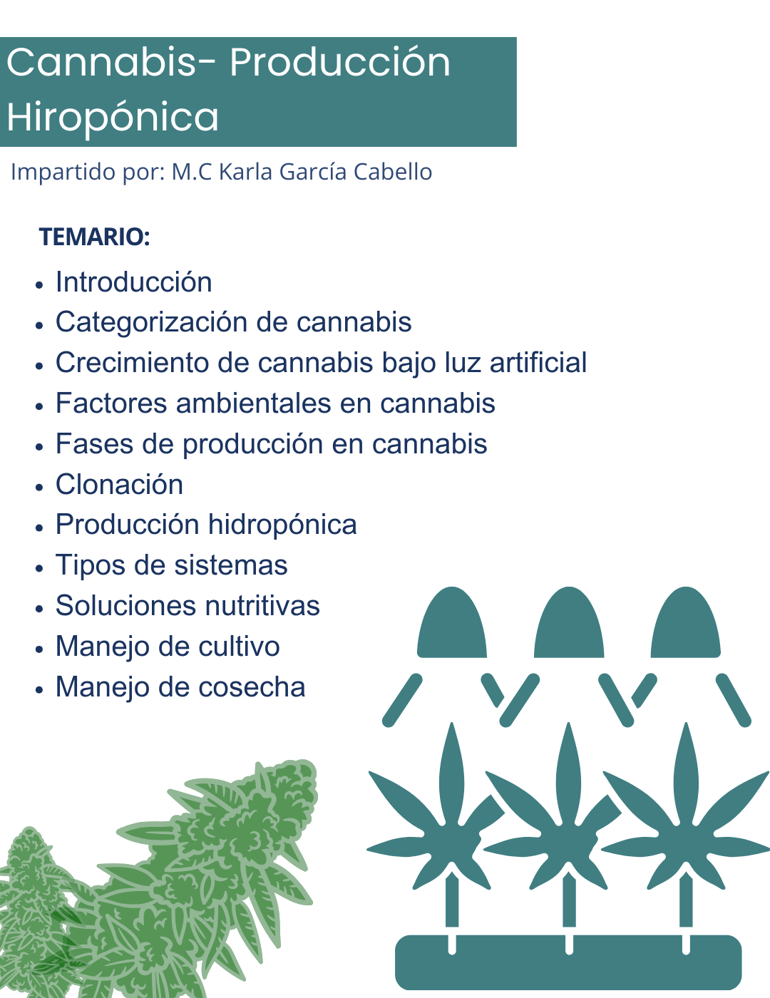 Paquete de grabaciones: Indoor
