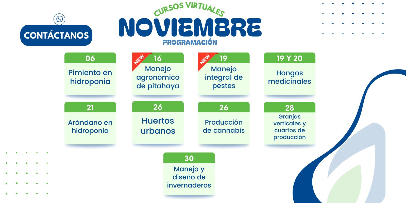 Cursos virtuales en vivo més de noviembre