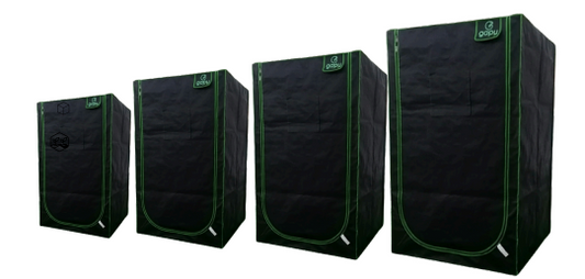 Gapy-SERIE ECO