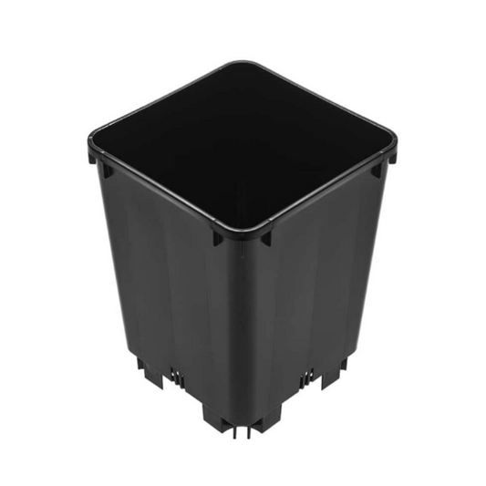 Beekenkamp 7 Liter Square Pot