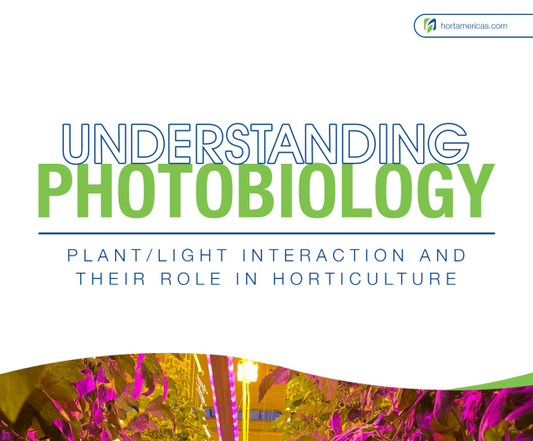 Guía Entendiendo la Fotobiología