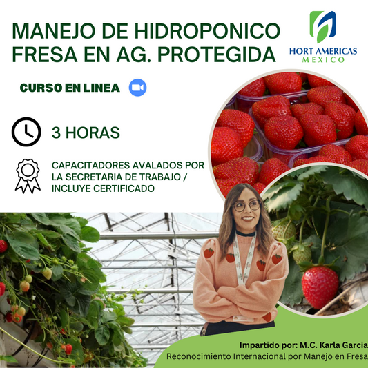 Curso de Hidroponia 2.0 en Fresa