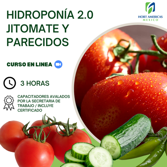 Curso Hidroponia 2.0 Jitomates y parecidos