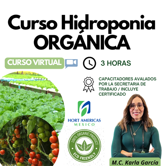 Curso Virtual Hidroponía Orgánica