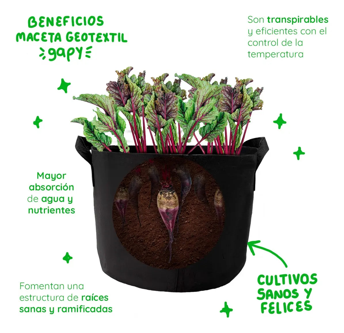 KIT 3 piezas de Maceta 5 Galon con Ventana