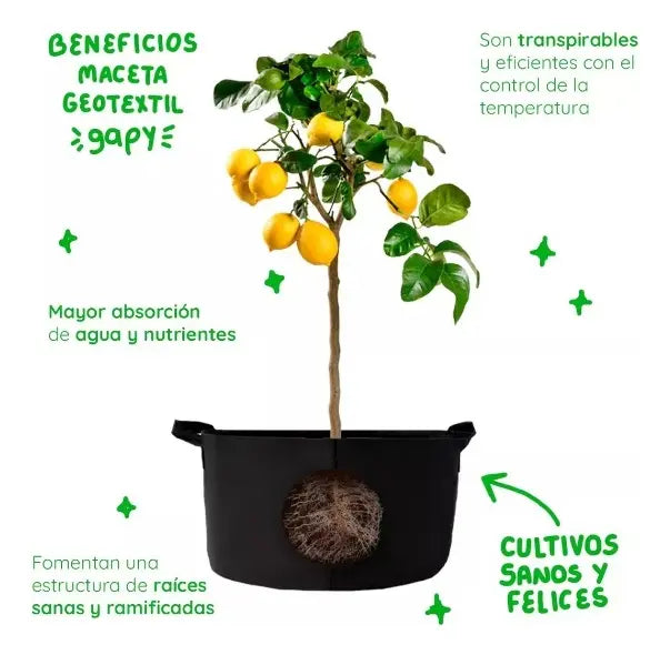 KIT 3 piezas de Maceta de cultivo Geotextil GAPY