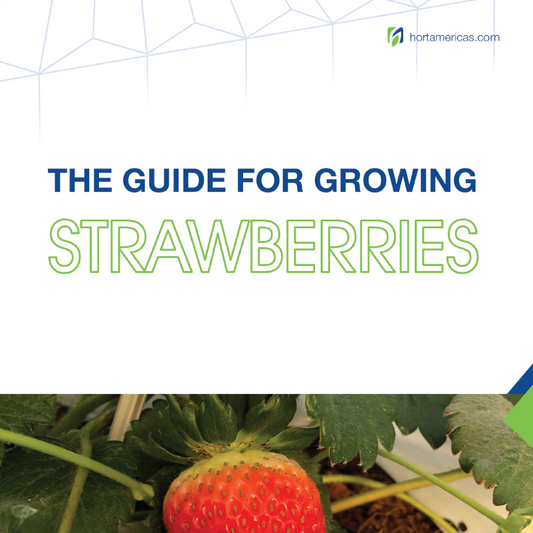 La Guía para Cultivar Fresas