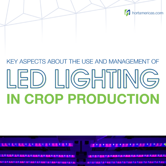 Aspectos Clave sobre el Uso y Manejo de la Iluminación LED en la Producción de Cultivos