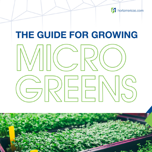 La guía para cultivar microgreens