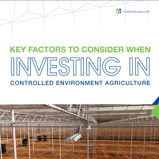 Factores clave a considerar al invertir en agricultura de ambiente controlado