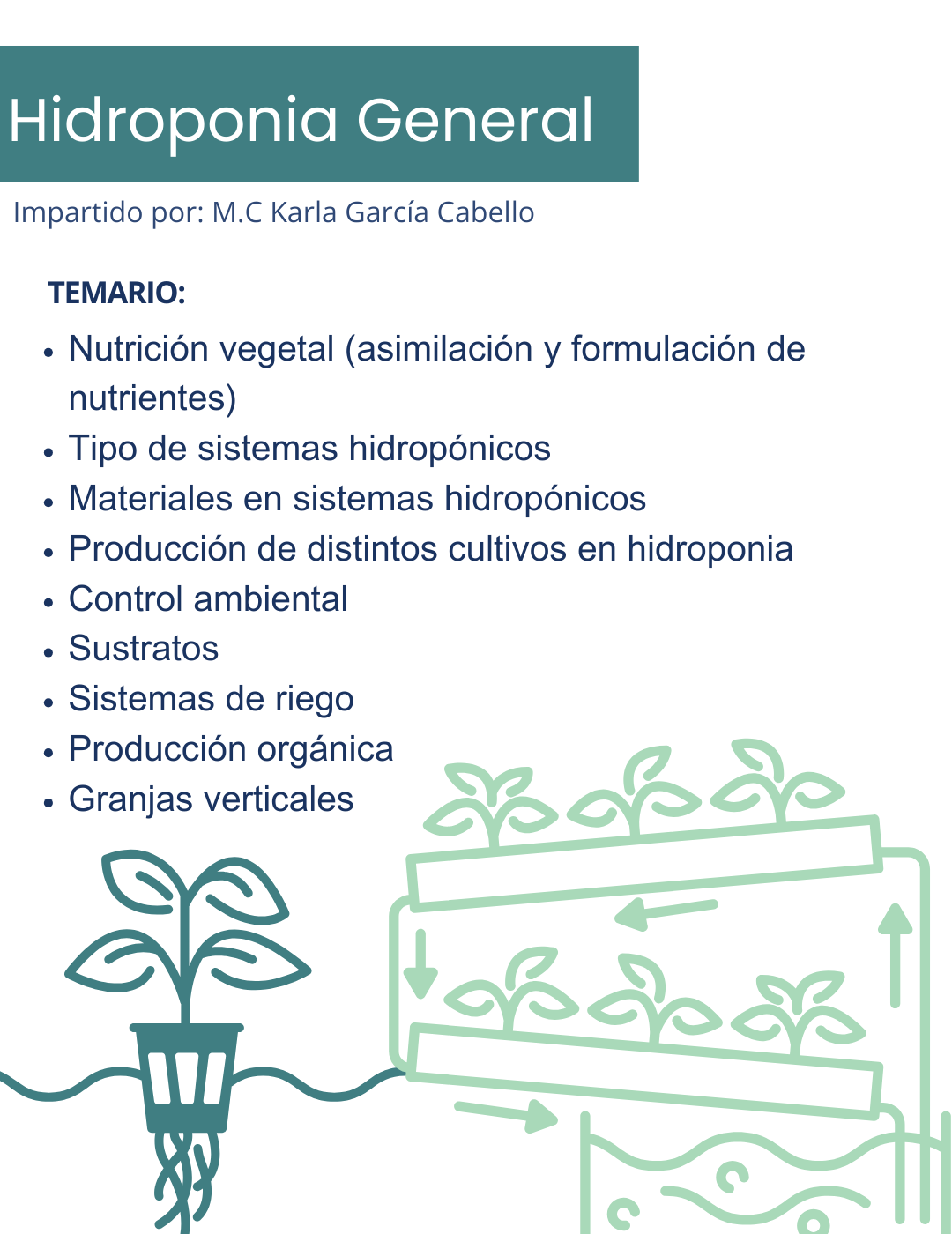 Curso Hidroponia General
