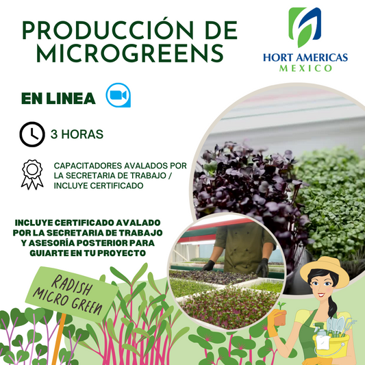 Curso Producción de Microgreens