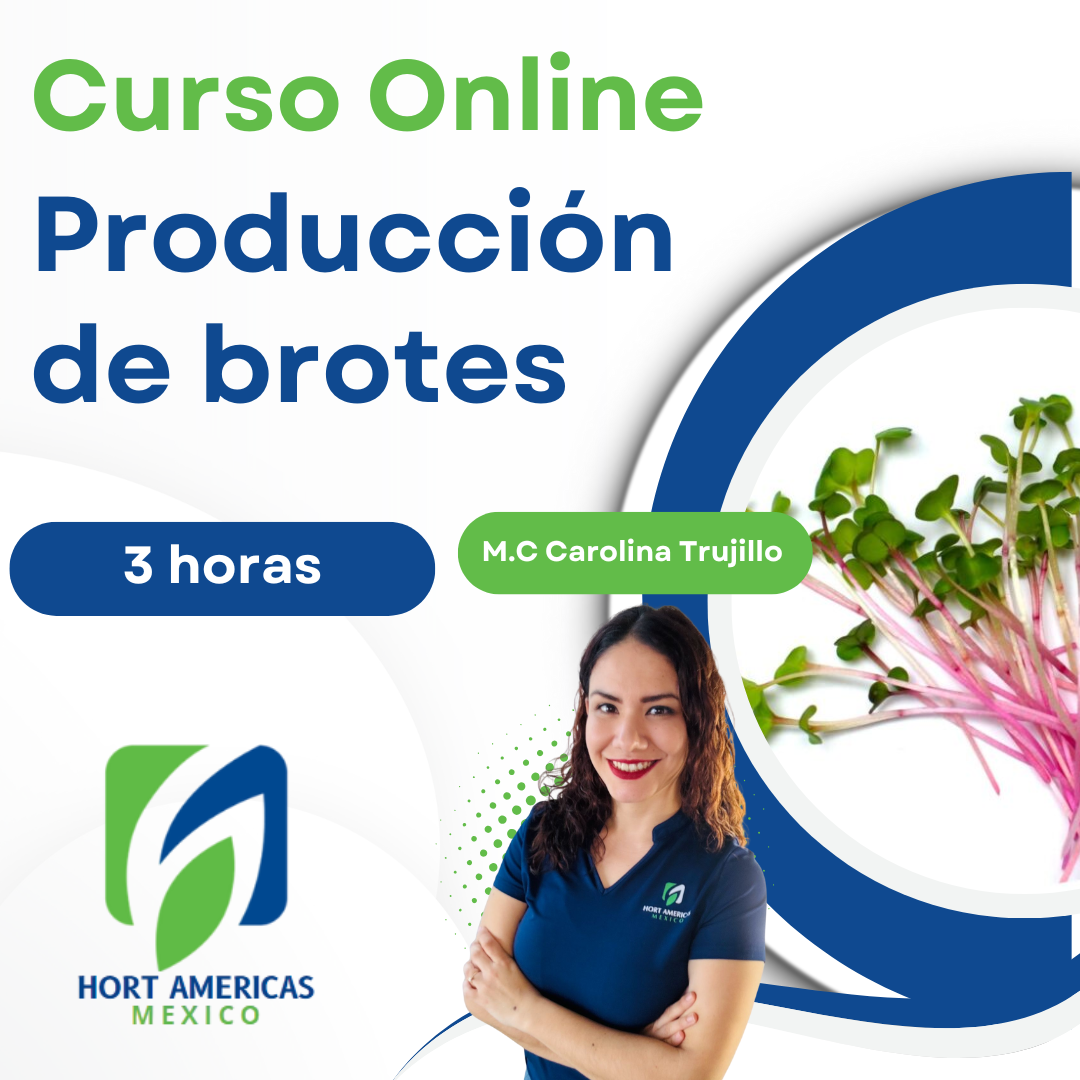 Curso Producción de Microgreens