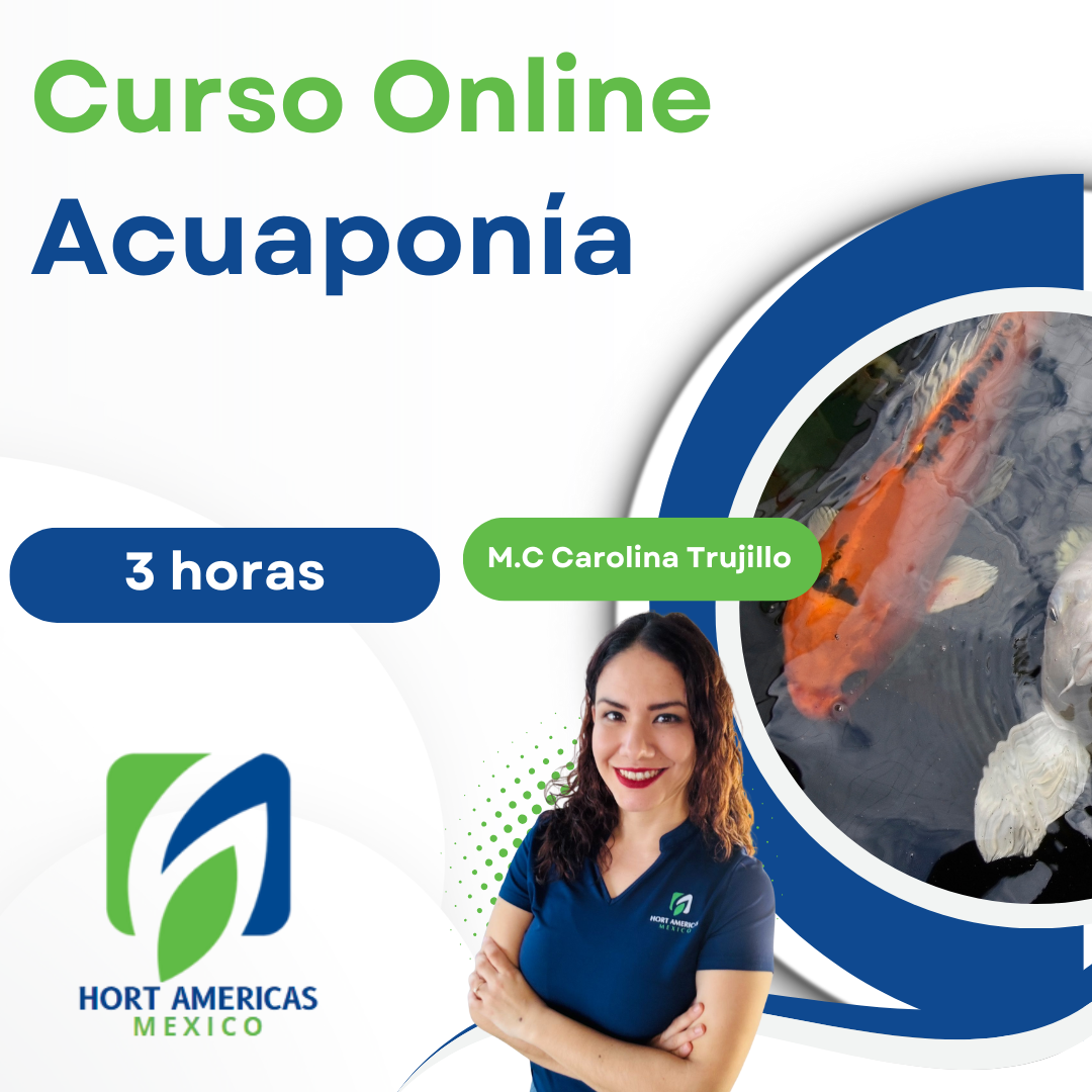 Curso de Acuaponía