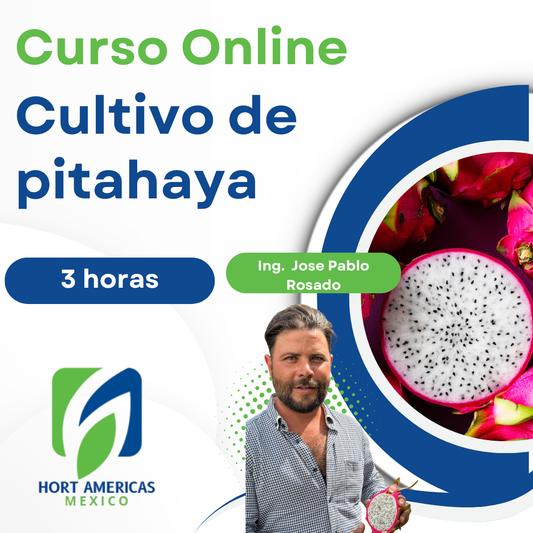 Curso Producción de Pitahaya