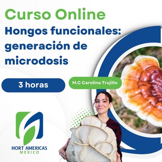 Curso Hongos Funcionales: generación de microdosis