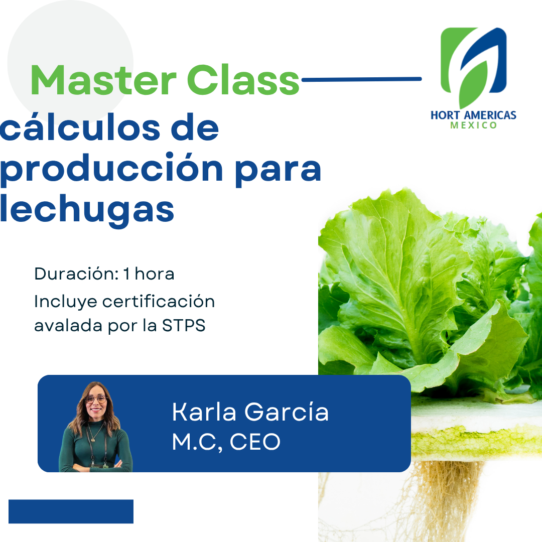 MASTERCLASS: Cálculos de producción de lechuga