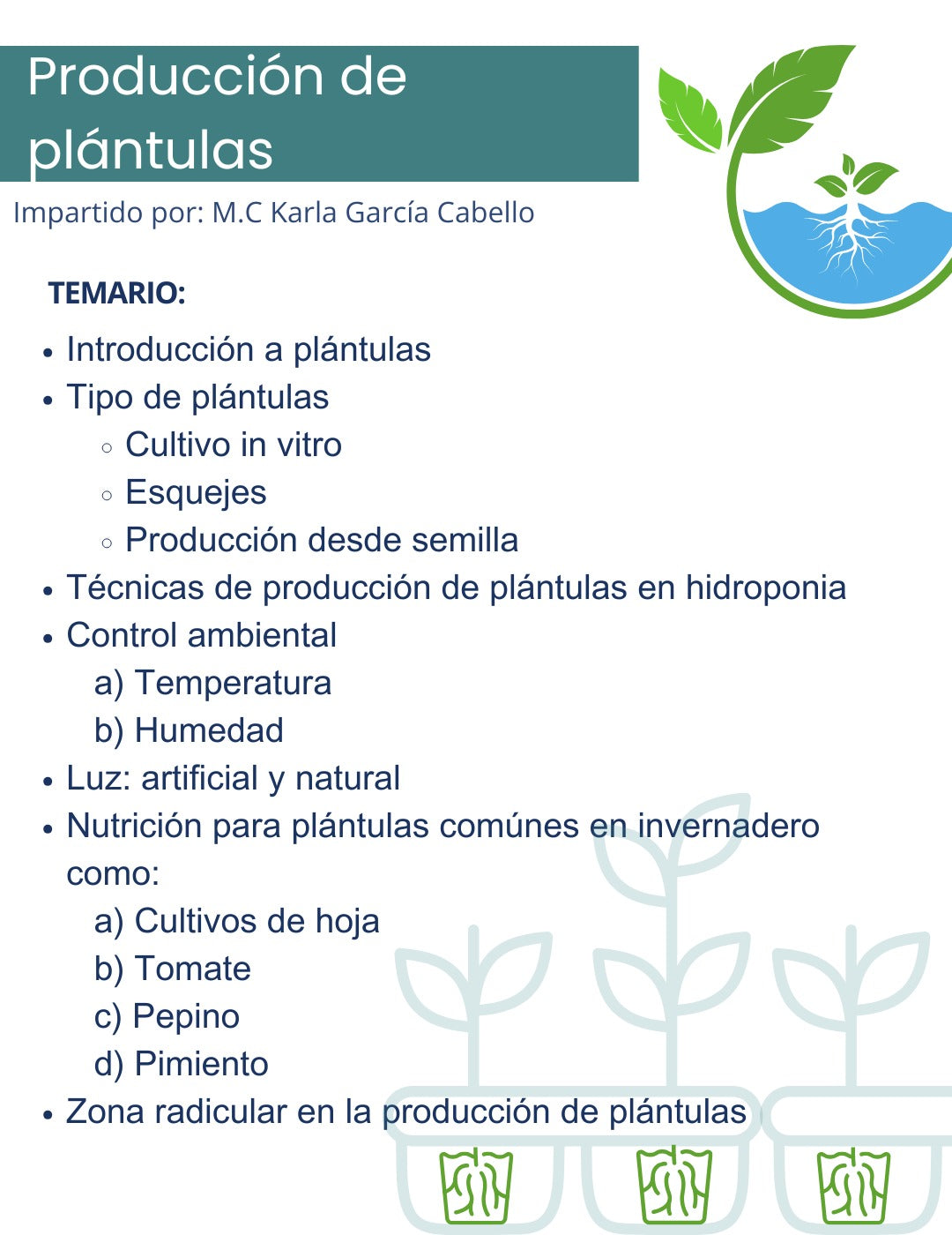 Paquete de grabaciones: Profesional