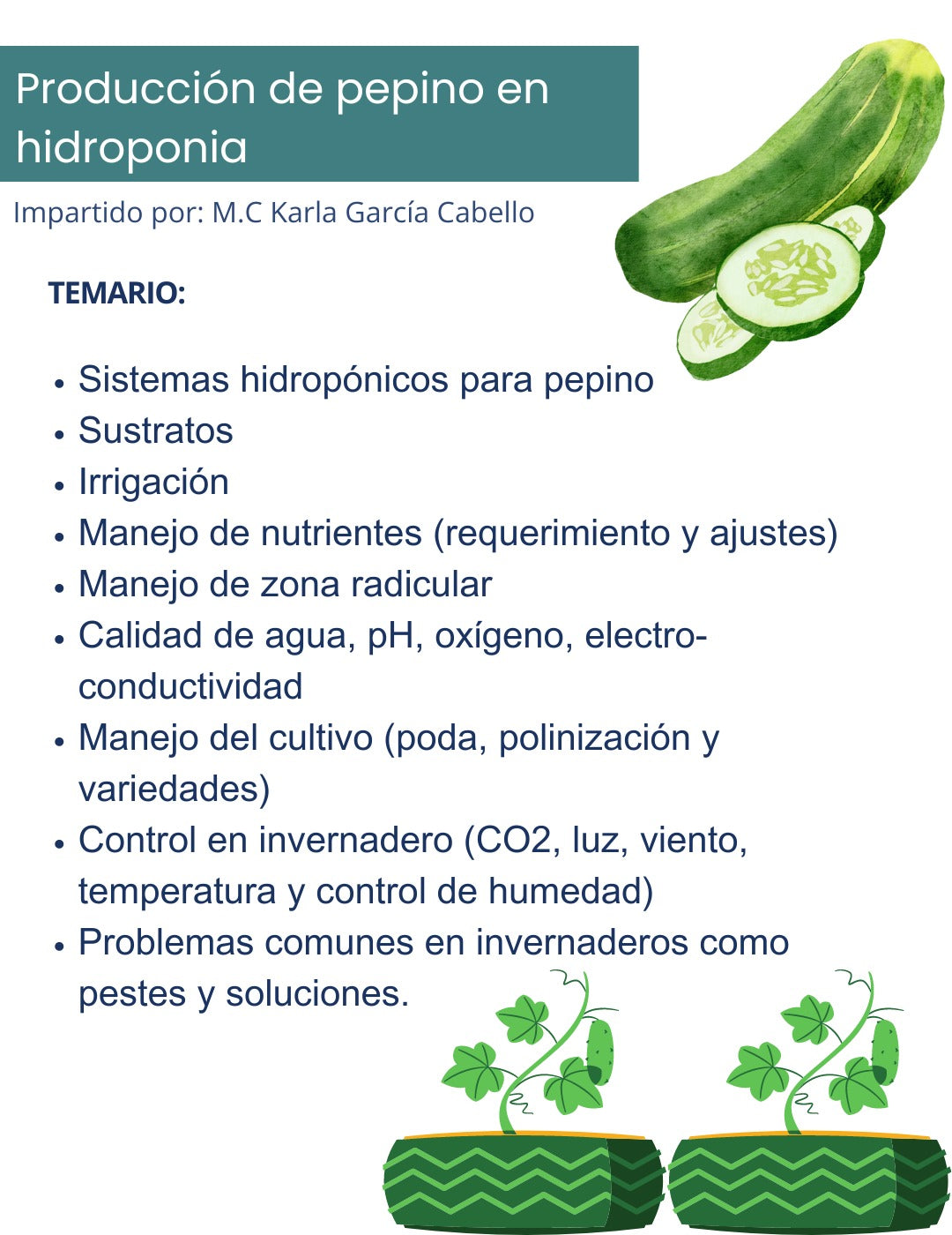 Curso Hidroponia 2.0 Pepino