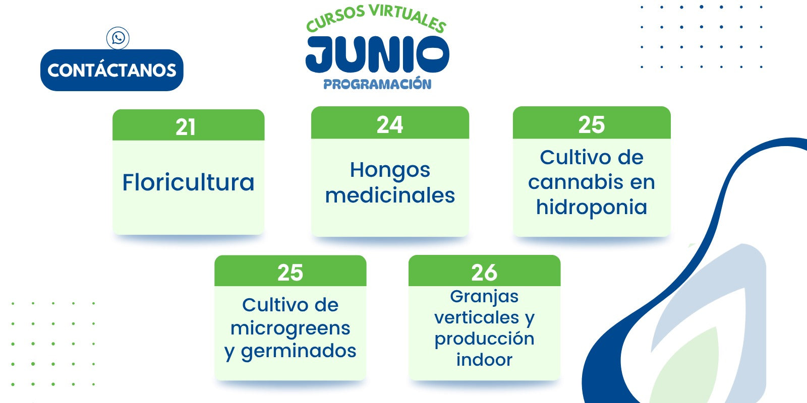 Cursos en vivo junio