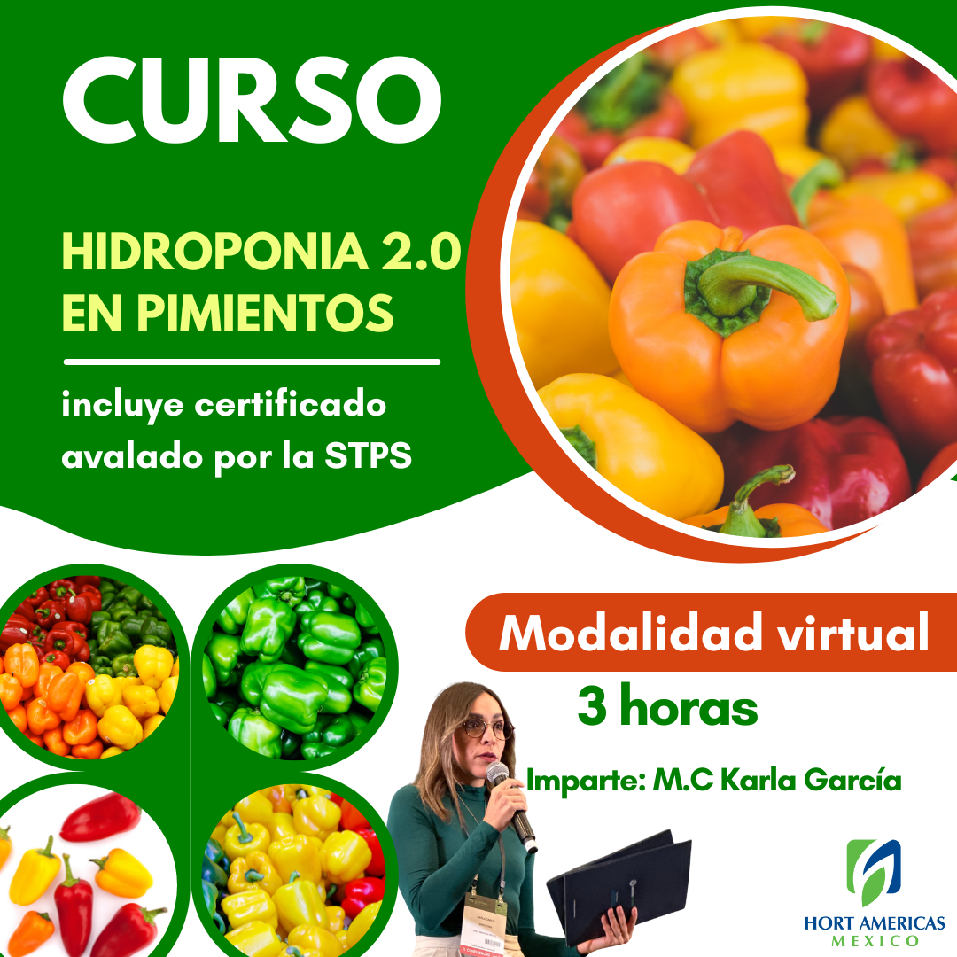 Curso Hidroponia 2.0 Pimiento