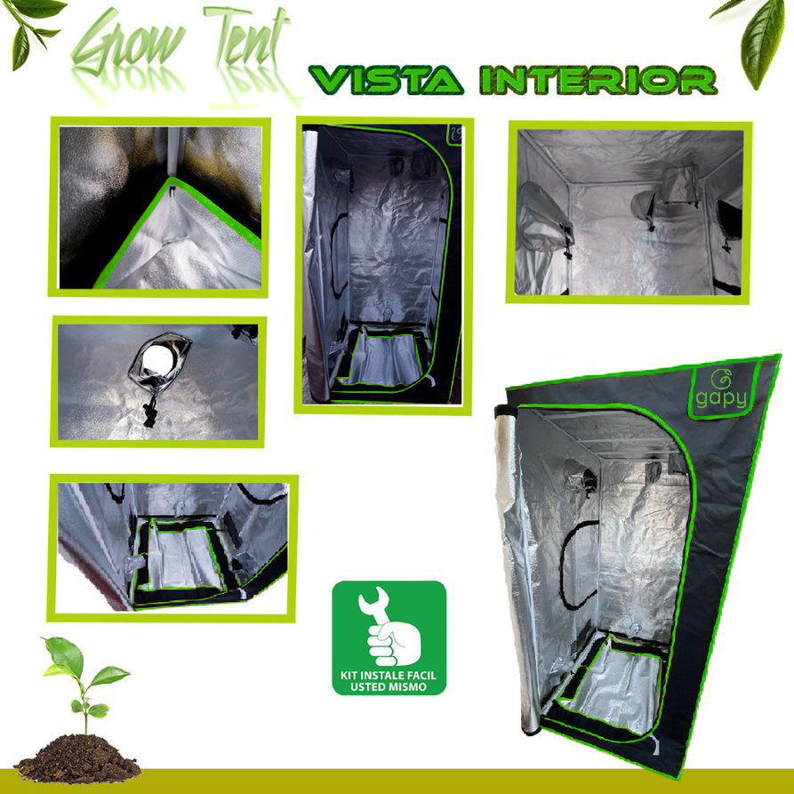 Gapy- GGT-100